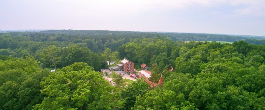 Sommerkurs: Impro-Sommer 2026